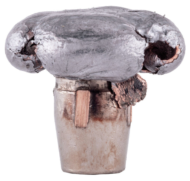 PUNTAS DE BALA FEDERAL TERMINAL ASCENT - .308" - 175 GRAINS (2)