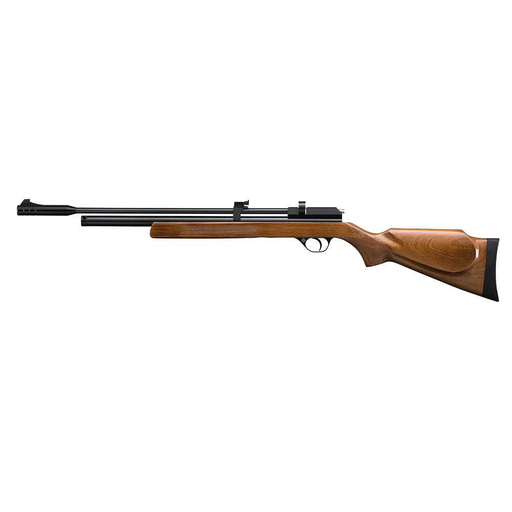 CARABINA PCP STINGER MINERVA