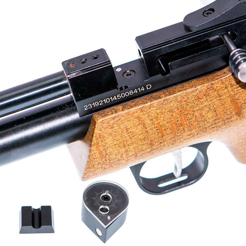 PISTOLA PCP STINGER HADES (2)