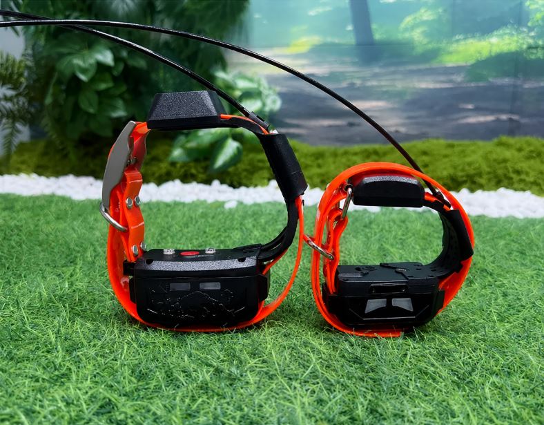COLLAR GPS eSEEK (4) & eSEEK mini