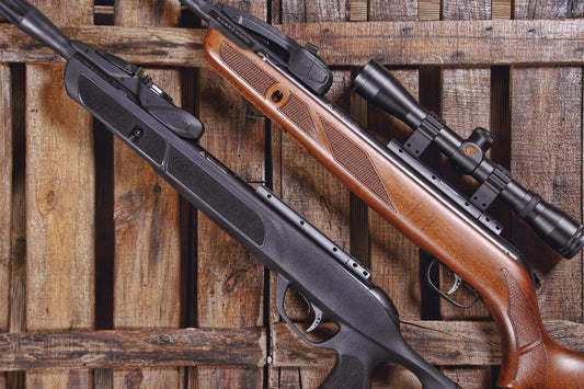 ¿Qué carabina de aire comprimido elegir? Guía completa 2026