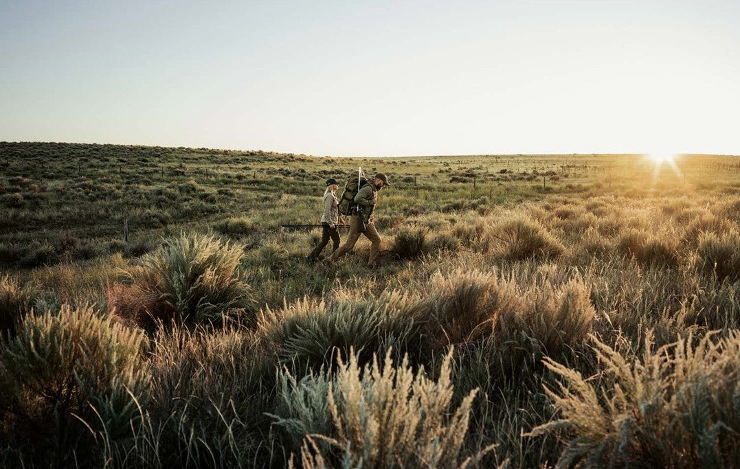 TOP 5 Visores para Rececho 2025 – Guía experta Carbin Store