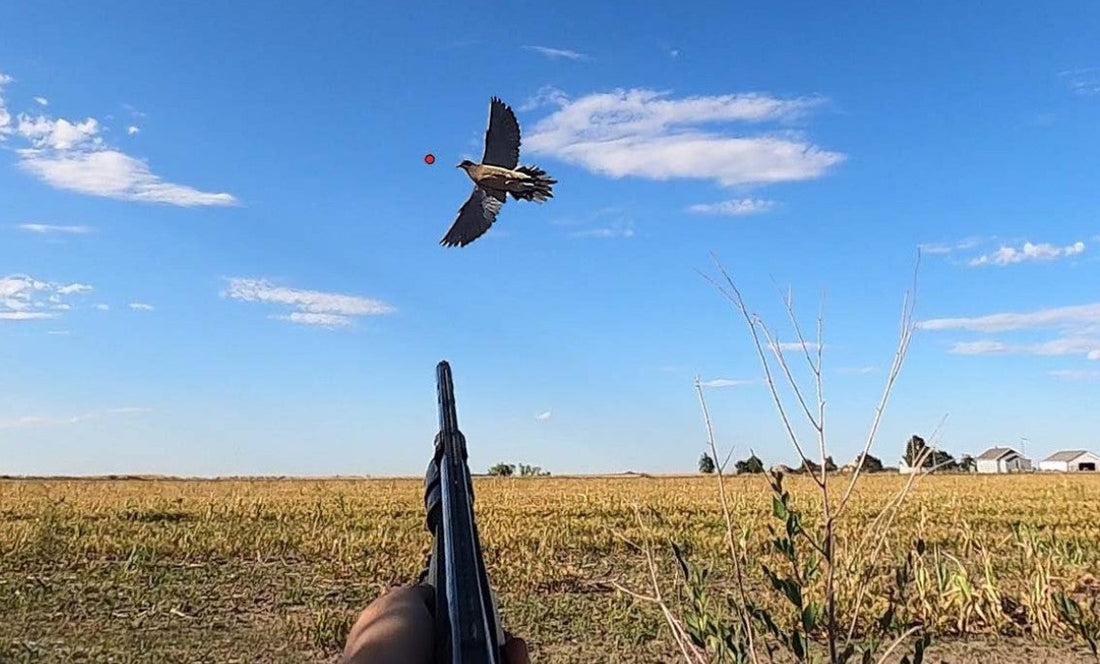 La Sinfonía del Viento: Un Homenaje Emocional al Tiro de la Paloma Torcaz