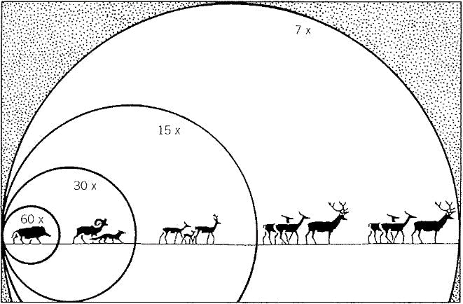 Campo de visión en óptica: visores, prismáticos y telescopios