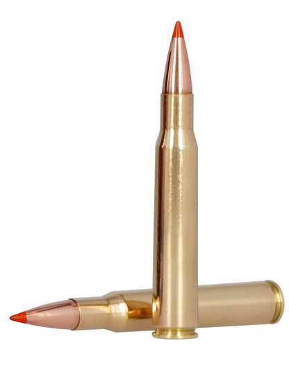 BALA FEDERAL FUSION TIPPED - 30-06 - 180 GRAINS (1)