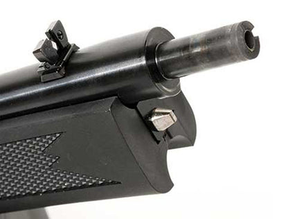 CARABINA SEMIAUTOMÁTICA RUGER 10/22 TAKEDOWN C/M - 22 LR (10)