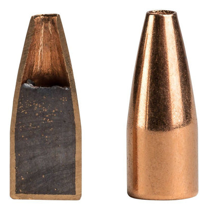 BALA FEDERAL Speer TNT - 17 HMR - 17 grains (2)
