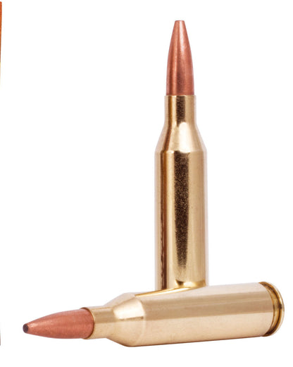 BALA FEDERAL Fusion - 243 Win. - 95 grains (1)