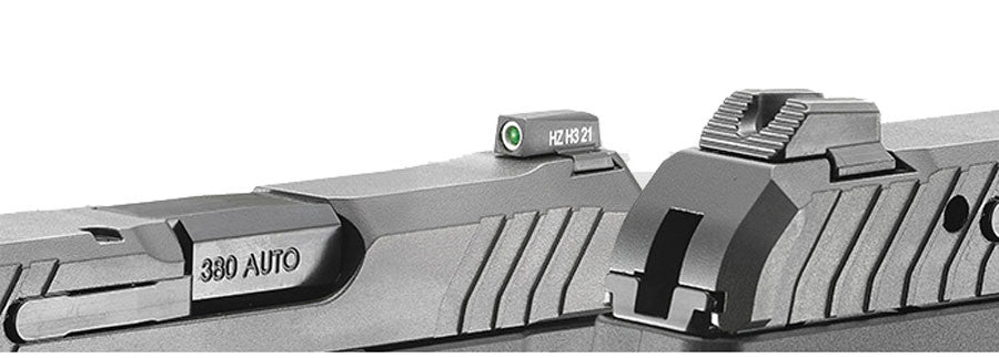 PISTOLA RUGER LCP MAX - 380 AUTO (7)