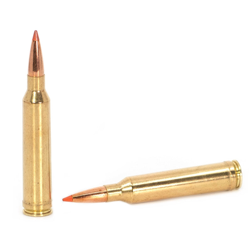 BALA FEDERAL FUSION TIPPED - 7MM. REM. MAG. - 175 GRAINS (1)