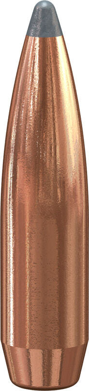 PUNTAS DE BALA SPEER BOAT-TAIL - .243" - 85 GRAINS (1)