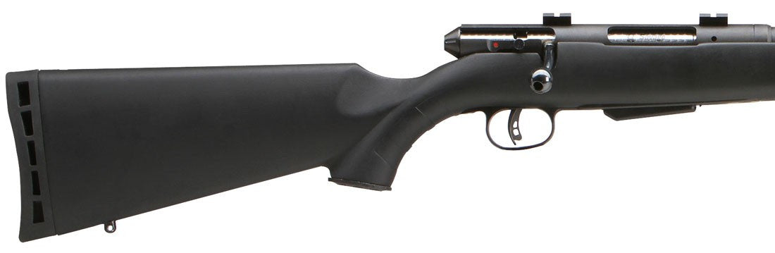 RIFLE DE CERROJO SAVAGE 25 WALKING VARMINTER (2)
