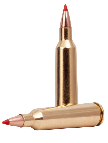 BALA FEDERAL VARMINT & PREDATOR HORNADY V-MAX - 22-250 REM. - 55 GRAINS (1)