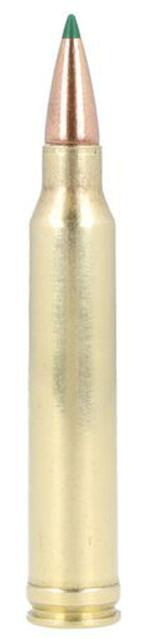 BALA REMINGTON PREMIER CUT - 300 WIN MAG (1)