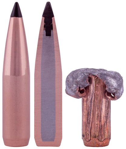 BALA FEDERAL Swift Scirocco II - 300 Win. Mag. - 180 grains (3)