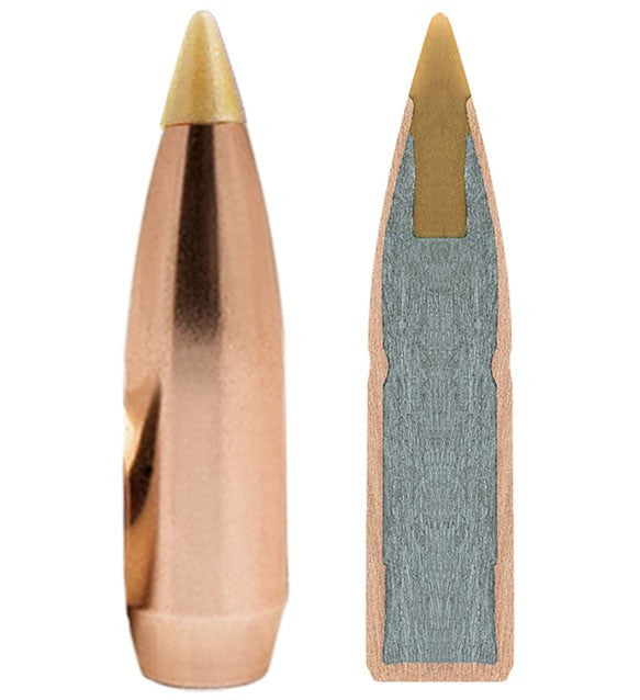 BALA REMINGTON PREMIER ACCUTIP-V - 243 WIN (1)