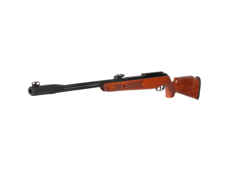 Gamo Cañon Fijo