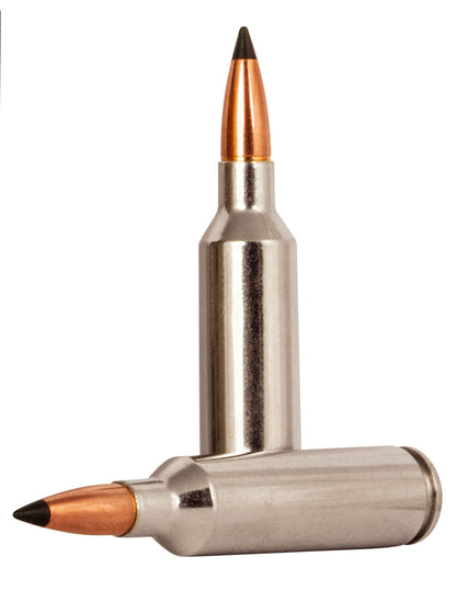 BALA FEDERAL Trophy Copper - 270 WSM - 130 grains (1)