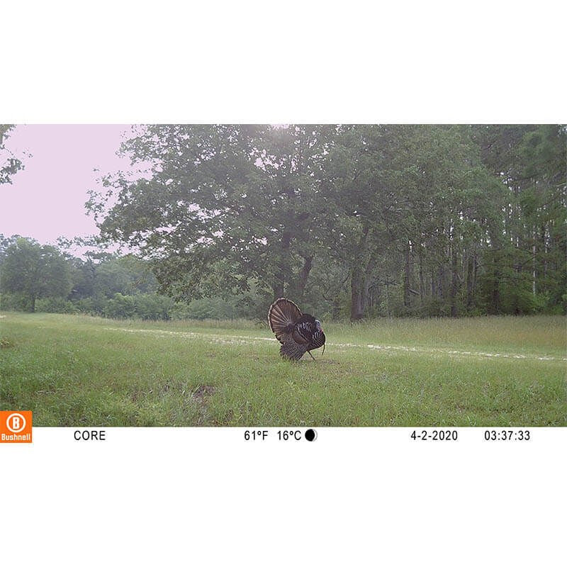 CÁMARA BUSHNELL CORE S-4K NO-GLOW TREEBARK CAMO (7)
