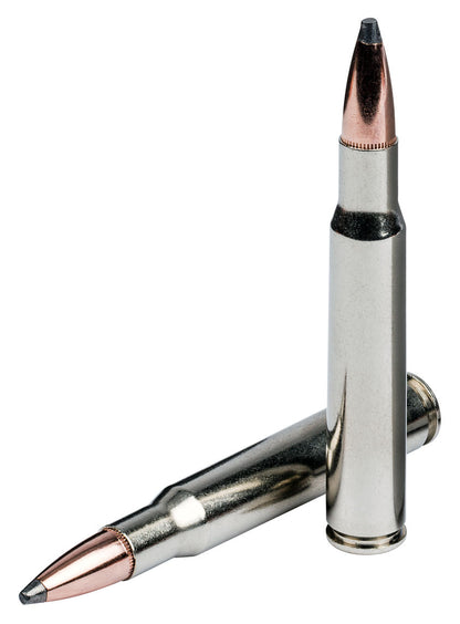 BALA FEDERAL Nosler Partition - 300 Win. Mag. - 180 grains (1)