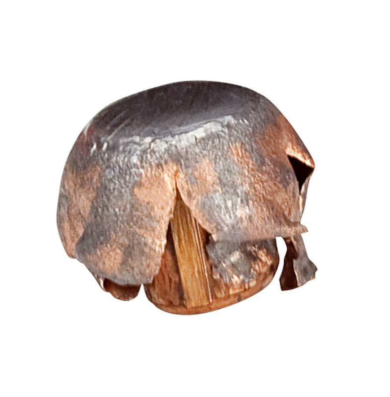 BALA FEDERAL Nosler Partition - 30-06 - 180 grains (4)