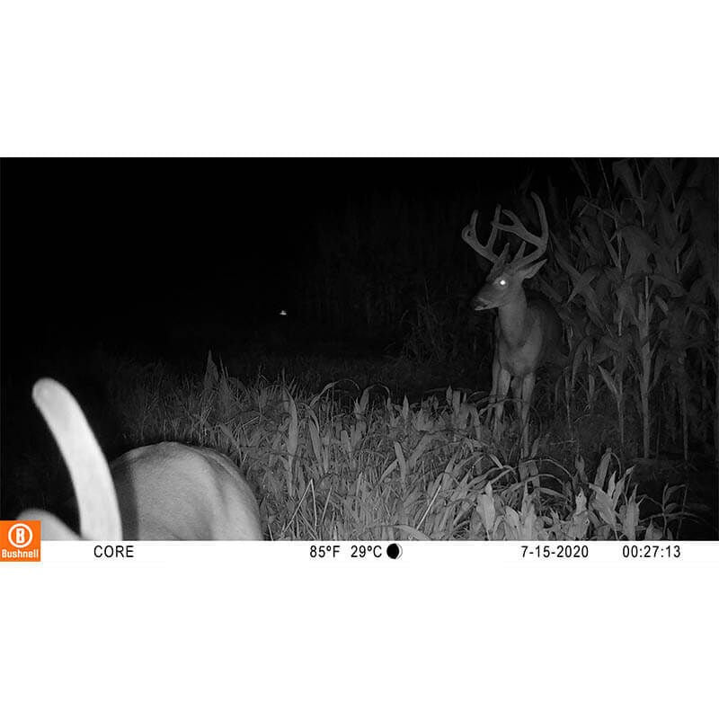 CÁMARA BUSHNELL CORE S-4K NO-GLOW TREEBARK CAMO (8)