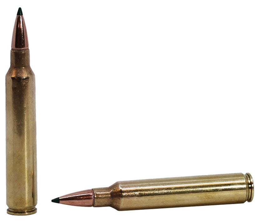 BALA REMINGTON CORE-LOKT TIPPED - 300 RUM (1)