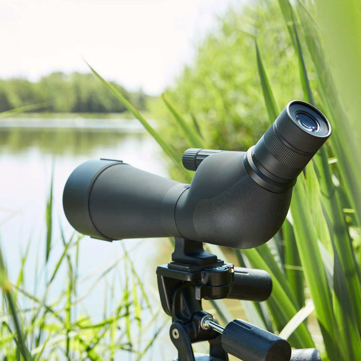 TELESCOPIO NOBLEX NS 20-60X80 ED (3)