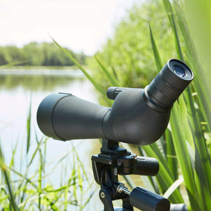 TELESCOPIO NOBLEX NS 20-60X80 ED (3)