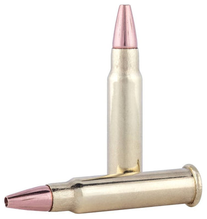 BALA FEDERAL Speer TNT - 17 HMR - 17 grains (1)