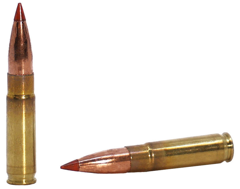 BALA FEDERAL SUBSONIC FUSION TIPPED - 300 AAC BLK - 190 GRAINS (1)