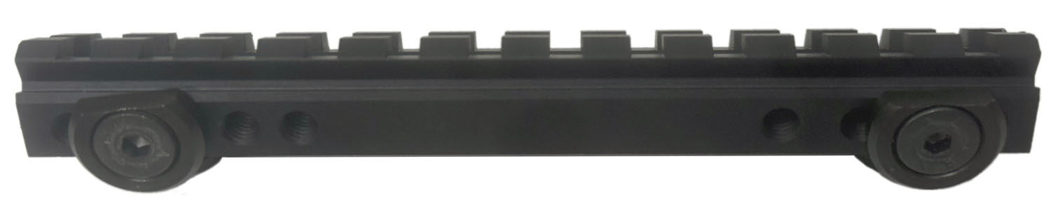 CARRIL POLI NICOLETTA - RUGER MINI (1)