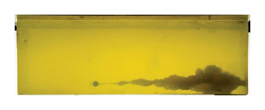 BALA FEDERAL Trophy Bonded Bear Claw - 10mm. Auto - 180 grains - JSP (2)