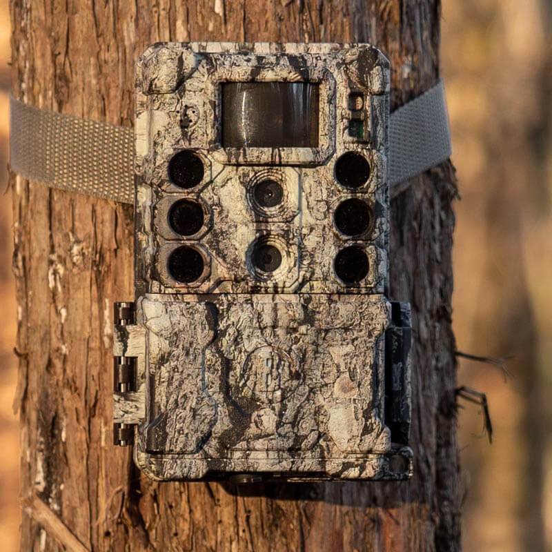 CÁMARA BUSHNELL CORE DS-4K NO-GLOW TREEBARK CAMO (4)