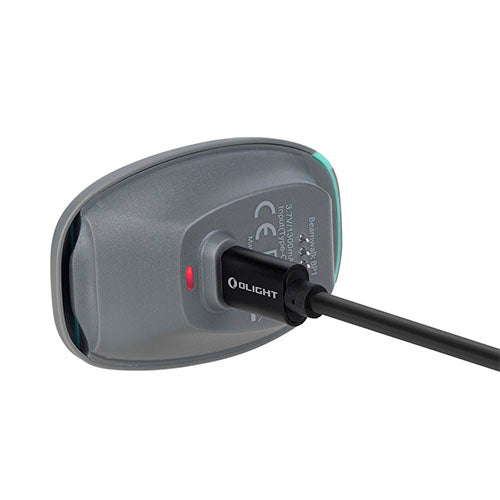 BASTONES SENDERISMO OLIGHT CON LUZ INTEGRADA BEAMWALK T3 (7)