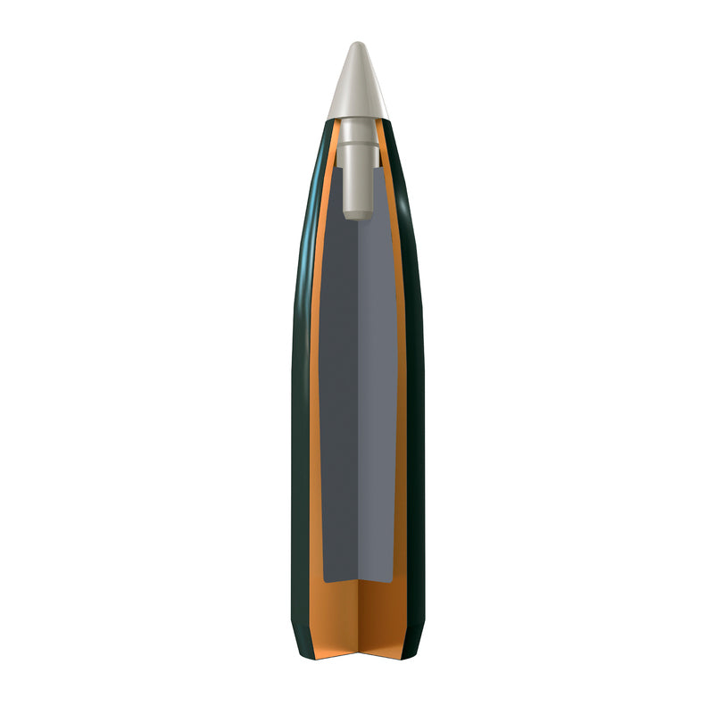 BALA WINCHESTER 30-06 BALLISTIC SILVERTIP (2)