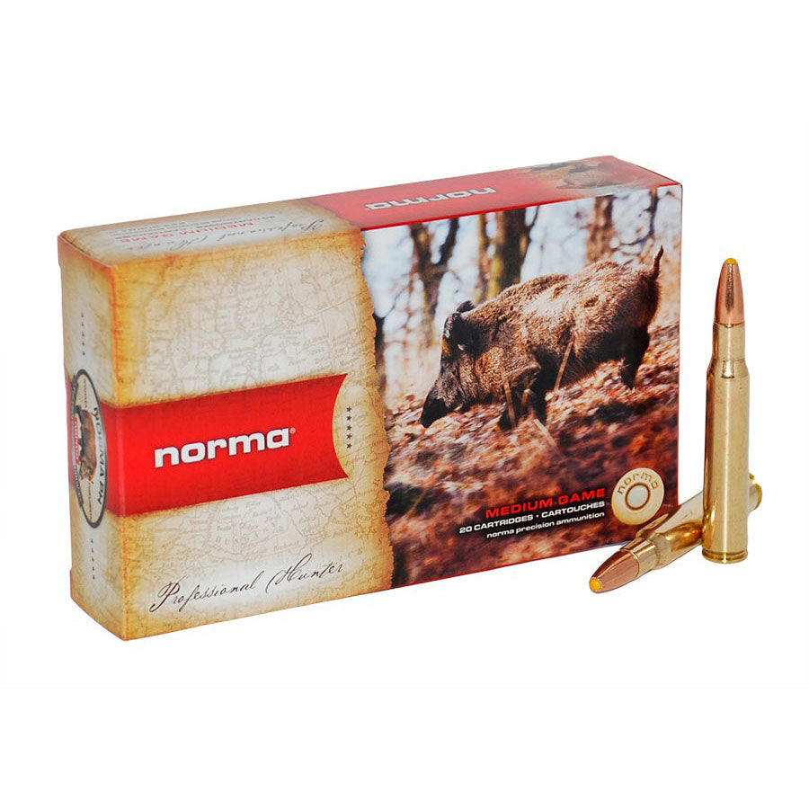 BALA NORMA PLASTIC POINT & 308 Winchester 180 grains