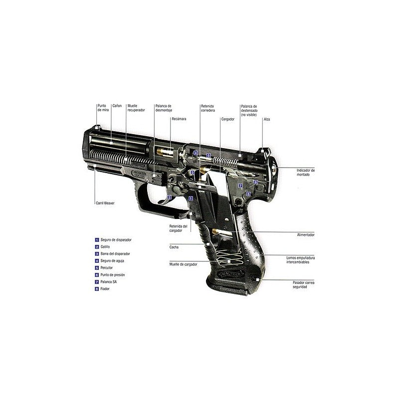 Pistola Walther P99 – Carbin
