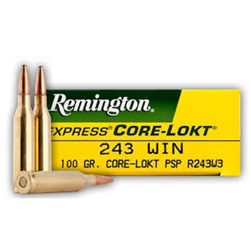 BALA REMINGTON 243 WIN CORE LOKT (1)