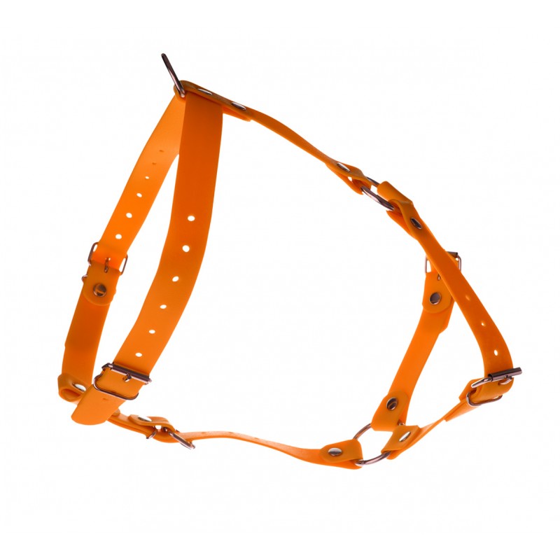 ARNES AJUSTABLE PARA PERROS & Naranja