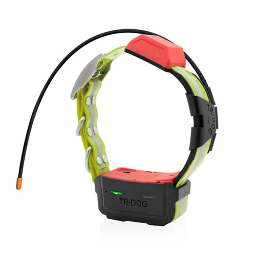LOCALIZADOR IOCUS POLARIS + COLLAR NOVA (2)
