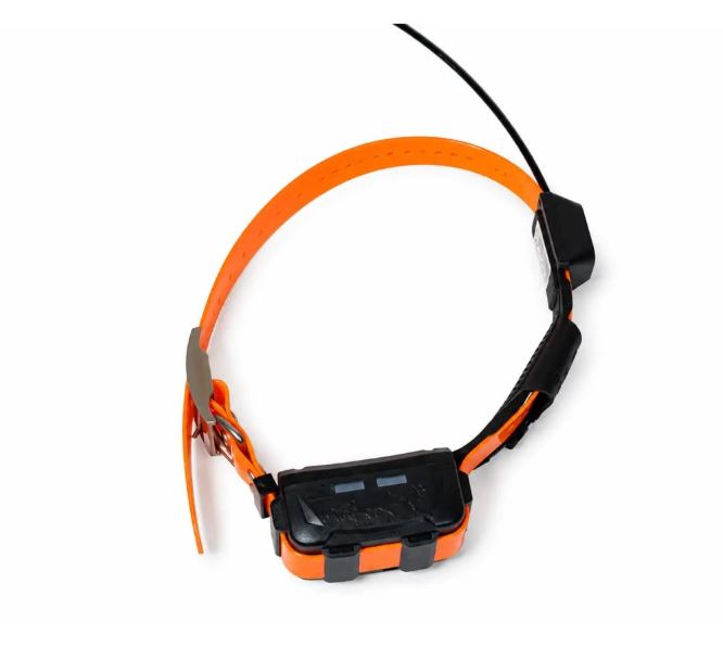 COLLAR GPS eSEEK (1)