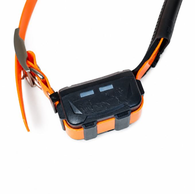 COLLAR GPS eSEEK (3)