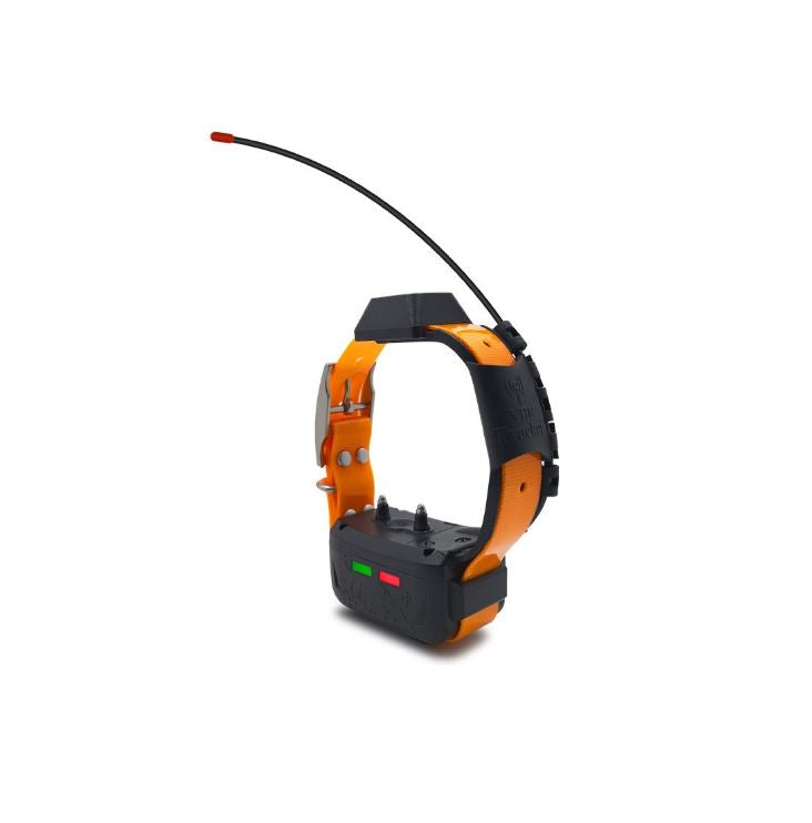 COLLAR GPS eSEEK & eSEEK Standard