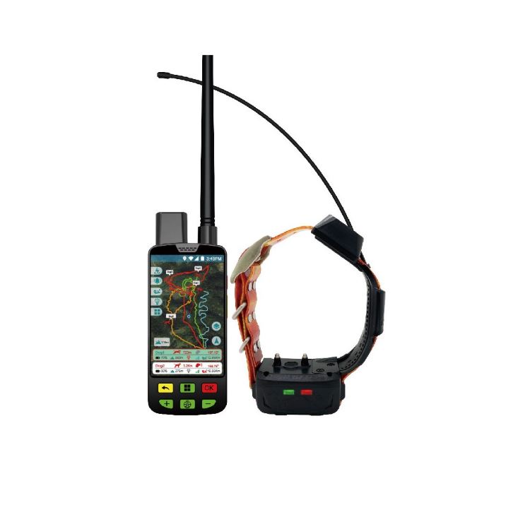 SET MANDO + COLLAR GPS eSEEK & SET eSEEK