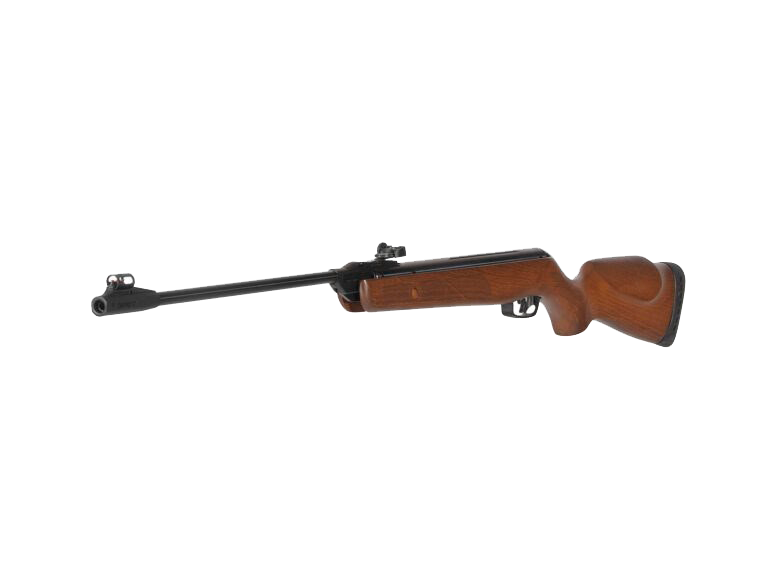 Gamo Standard