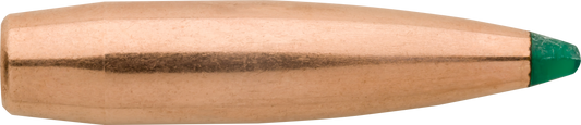 PUNTA SIERRA GAMEKING 243 CAL 90 GR & 243 CAL / 6 MM 90 GR POLYMER TIP